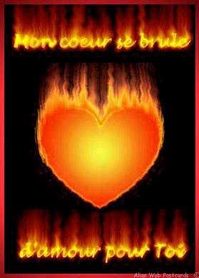 amour